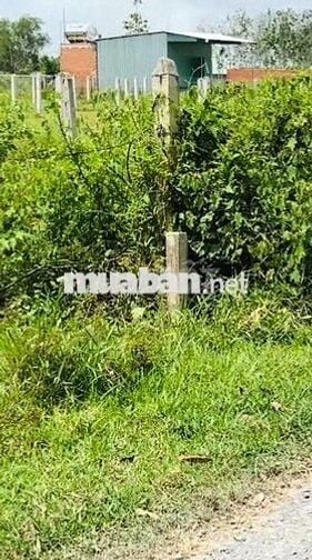 Bán đất ngộp đường DT787 Tây Ninh