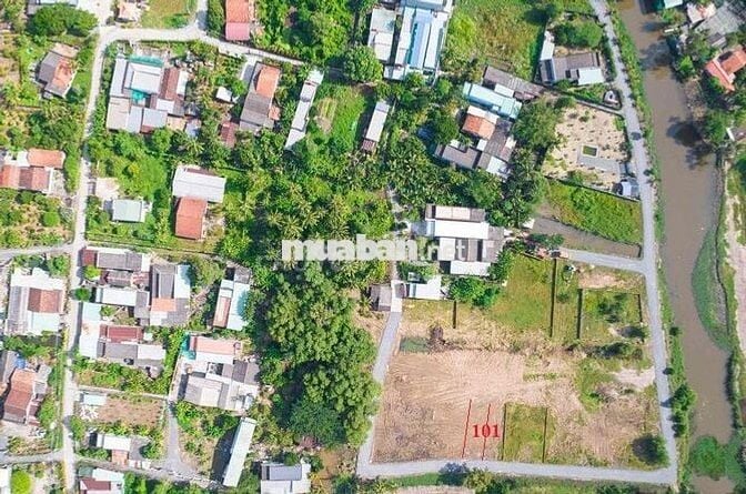 ĐẤT THỔ CƯ TÂN BỬU (LƯƠNG HÒA) GIÁP HỒ CHÍ MINH