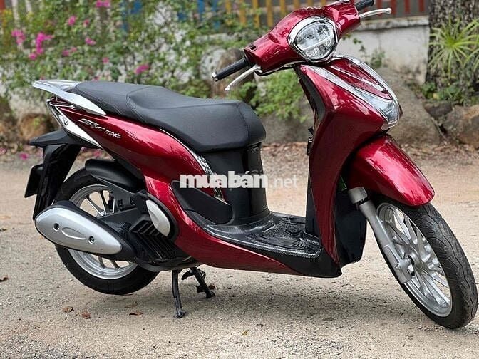 Sh mode chủ phố