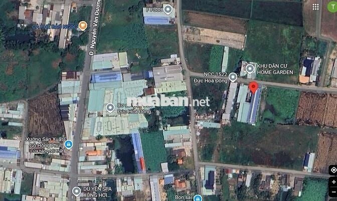 BÁN LÔ ĐẤT FULL THỔ CƯ ẤP 4 , XÃ ĐỨC HÒA ĐÔNG, HUYỆN ĐỨC HÒA.