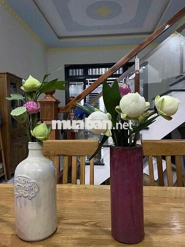 Nhà Tân Hạnh Giáp Dĩ An Hồ Chí Minh mới chỉ 300m - Ngay Cụm Gốm