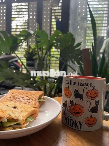 Nhà Tân Hạnh Giáp Dĩ An Hồ Chí Minh mới chỉ 300m - Ngay Cụm Gốm