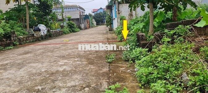 Chính chủ đứng tên sổ đỏ bán đất khu tái định cư sân Golf Sky Lake