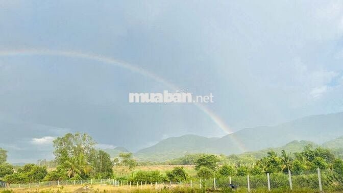 Bán Đất Vườn Diên Tân 2000m² Sát Hồ Cây Sung - Sổ Đỏ Lâu Dài