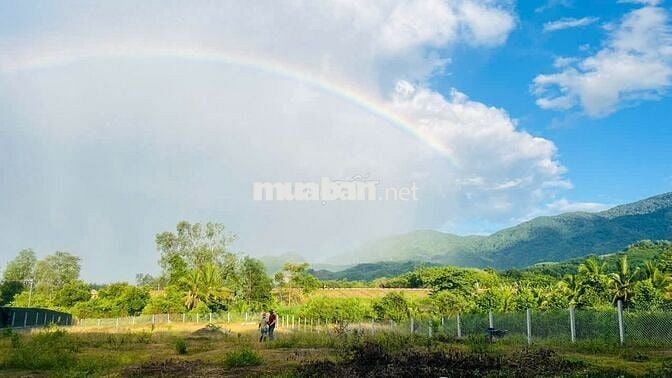 Bán Đất Vườn Diên Tân 2000m² Sát Hồ Cây Sung - Sổ Đỏ Lâu Dài