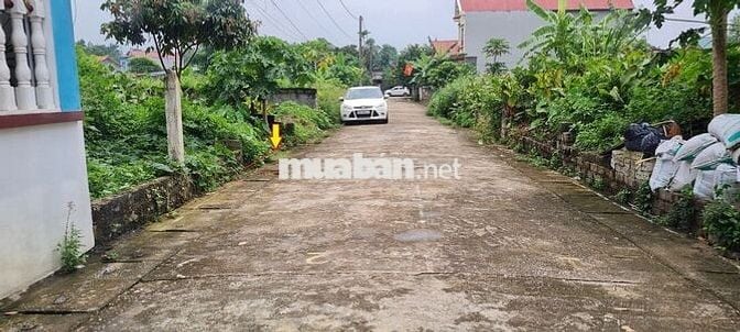Chính chủ đứng tên sổ đỏ bán đất khu tái định cư sân Golf Sky Lake