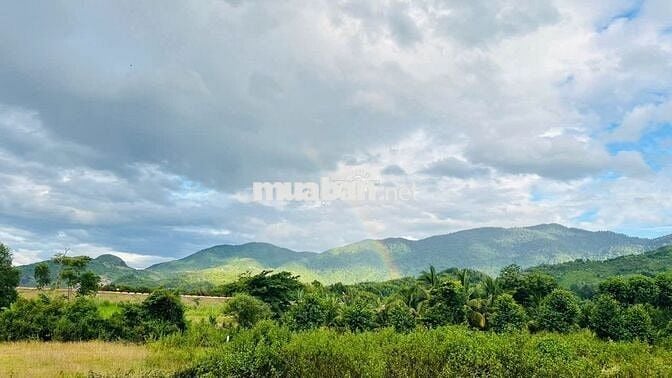 Bán Đất Vườn Diên Tân 2000m² Sát Hồ Cây Sung - Sổ Đỏ Lâu Dài