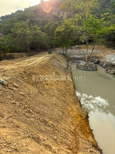 Bán đất Xã Tiên Hoàng, Huyện Cát Tiên, Tỉnh Lâm Đồng
