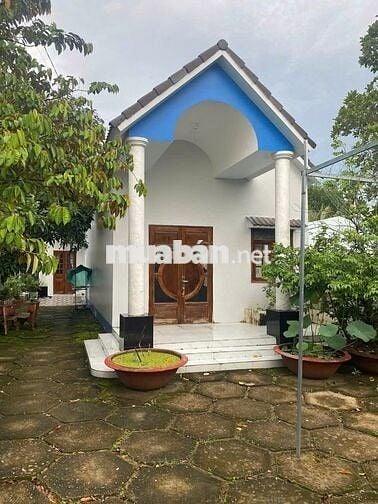 BÁN ĐẤT TẶNG NHÀ VƯỜN CẤP 4 BÌNH CHÁNH GIÁ 720TR SỔ HỒNG RIÊNG