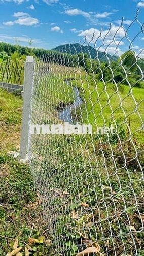 Bán Đất Vườn Diên Tân 2000m² Sát Hồ Cây Sung - Sổ Đỏ Lâu Dài