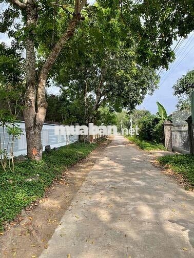 Bán đất thổ cư Diên Hoà, Diên Khánh, Khánh Hoà