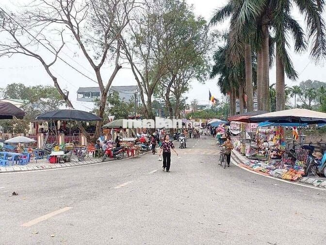 ĐẤT THANH OAI 41M OTO NGỦ TRONG ĐẤT