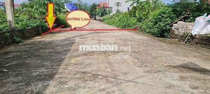 Chính chủ đứng tên sổ đỏ bán đất khu tái định cư sân Golf Sky Lake