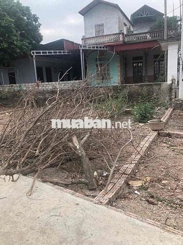 ĐẤT THANH OAI 41M OTO NGỦ TRONG ĐẤT