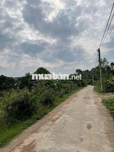 Bán đất thổ cư Diên Hoà, Diên Khánh, Khánh Hoà