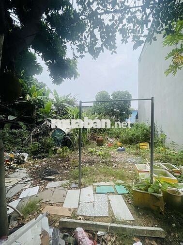 BÁN LÔ ĐẤT 230m2, N 12,5m,  nở hậu, HXH, NGAY UBND TRƯỜNG THỌ, THỦ ĐỨC