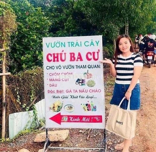 Cần bán miếng vườn chôm chôm sẵn thổ cư