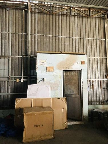 Cho thuê nhà mặt Quang Trung, P8. Gò Vấp_Diện tích: 1000m2