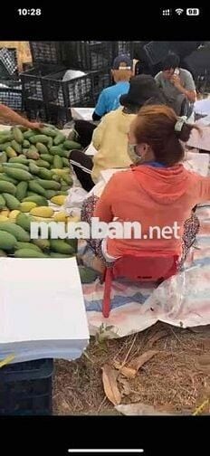 -Bán 2,1 héc ta cách chân Đèo Đại Ninh 7 km…Cuối năm 2025 thông xe… -V