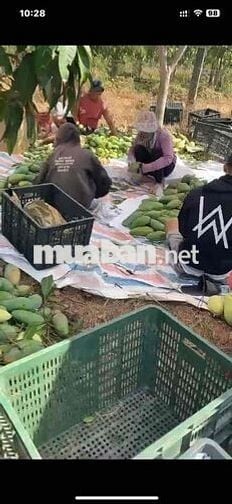 -Bán 2,1 héc ta cách chân Đèo Đại Ninh 7 km…Cuối năm 2025 thông xe… -V