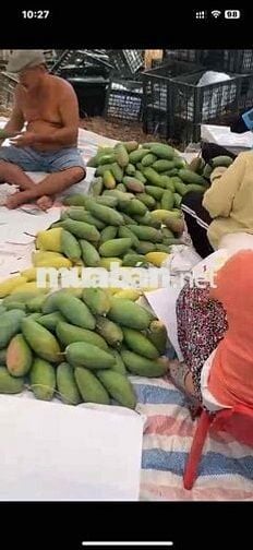-Bán 2,1 héc ta cách chân Đèo Đại Ninh 7 km…Cuối năm 2025 thông xe… -V