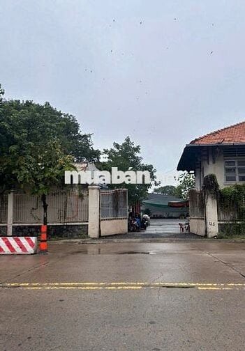 Kho ở Nguyễn Tất Thành cần cho thuê gấp diện tích 1200m2 đường cont