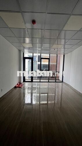Cho thuê nhà mặt tiền   Bạch Đằng, Phường 2, Quận Tân Bình,