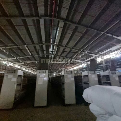 Cho thuê kho xưởng 850m² khuôn viên 3000m² đường Lê Đức Anh , Bình Tân