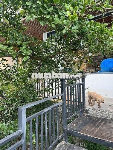 ✨ Nhà phố 2 mặt tiền – Hẻm xe hơi – Đào Duy Từ Đà Lạt  – 134m² –5.65tỷ