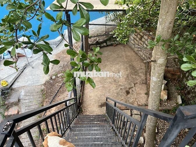 ✨ Nhà phố 2 mặt tiền – Hẻm xe hơi – Đào Duy Từ Đà Lạt  – 134m² –5.65tỷ