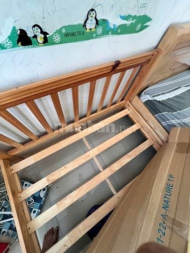 Giường 2 tầng gỗ cao su 1,2 x 2m x 1,6m tặng Nệm
