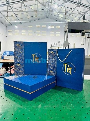 Thiết kế, in, gia công túi giấy, hộp giấy, hộp carton