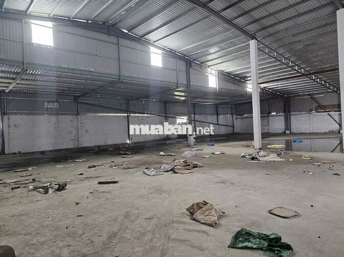 Cho Thuê Xưởng 1500m² Mặt Tiền Kênh A, Giá chỉ 85 Triệu/Tháng