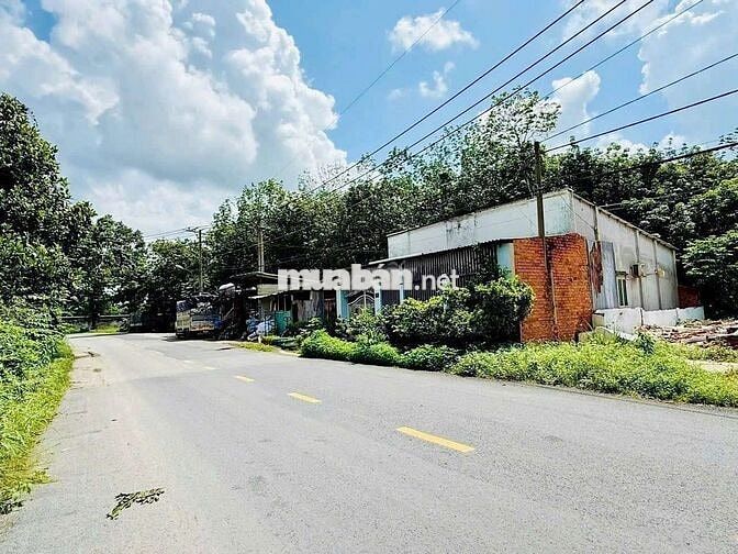 Chủ Nhà Bán Ngộp Mặt Tiền Trần Văn Chẩm - 147m² - Full Thổ Cư