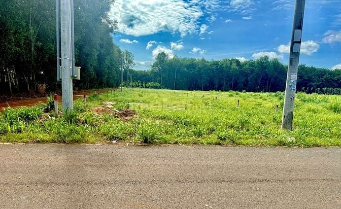 BÁN LÔ GÓC SAU CHỢ THÁI BÌNH-13x50, 100m2 THỔ CƯ.