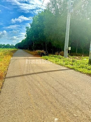 BÁN LÔ GÓC SAU CHỢ THÁI BÌNH-13x50, 100m2 THỔ CƯ.