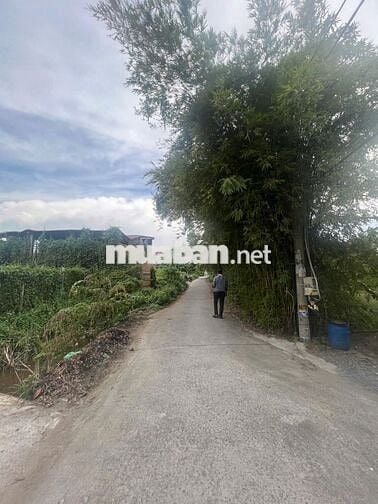 Cần bán gấp đất Thổ + Vườn 100m2 đường An Hạ, Bình Chánh