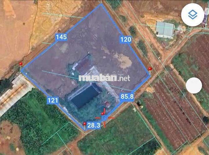 Đất quy hoạch SKC sản xuất kinh doanh 1,3ha giá 10,7 tỷ xã Tam Lập