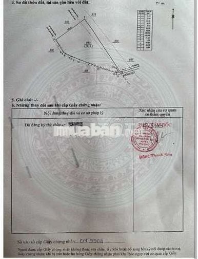 Đất quy hoạch SKC sản xuất kinh doanh 1,3ha giá 10,7 tỷ xã Tam Lập