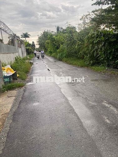 📣📣 Cho Thuê Xưỡng 10x40 đường lô B Trần văn giàu