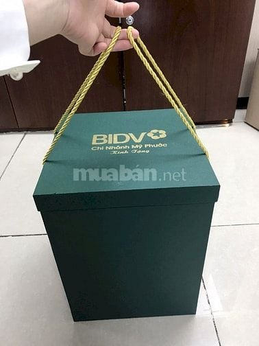 Thiết kế, in, gia công túi giấy, hộp giấy, hộp carton