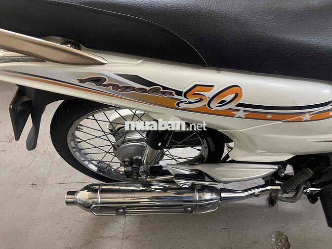 Angele 50 ccc ko cần bằng lái