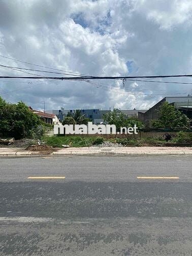 Cần bán 819m2 full thổ mặt tiền đường 835b long an giá 19 tỷ