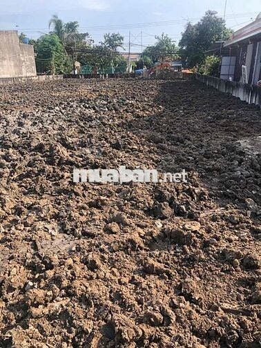 Cần bán 819m2 full thổ mặt tiền đường 835b long an giá 19 tỷ