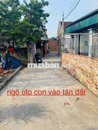 Đất nền Thanh Oai- Sổ đỏ chính chủ