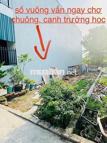 Đất nền Thanh Oai- Sổ đỏ chính chủ