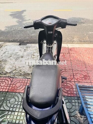 wave anpha 2022