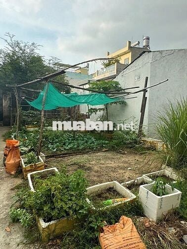117m2, 37tr/m2, giá đầu tư 4,3 tỷ - Đường 8, Linh Xuân