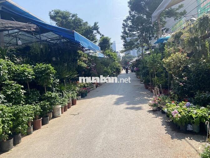 Bán đất Đấu giá Vạn Phúc 75m2, mt5, mặt phố Lê Văn Tám, xây 7 tầng xịn