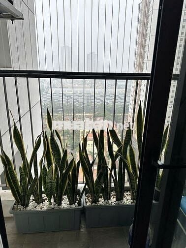 Chính chủ miễn trgian bán CH Phú Thịnh Green Park - 103m² 3PN